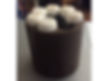 Stanley A Meyer 7 Cell Voltrolysis