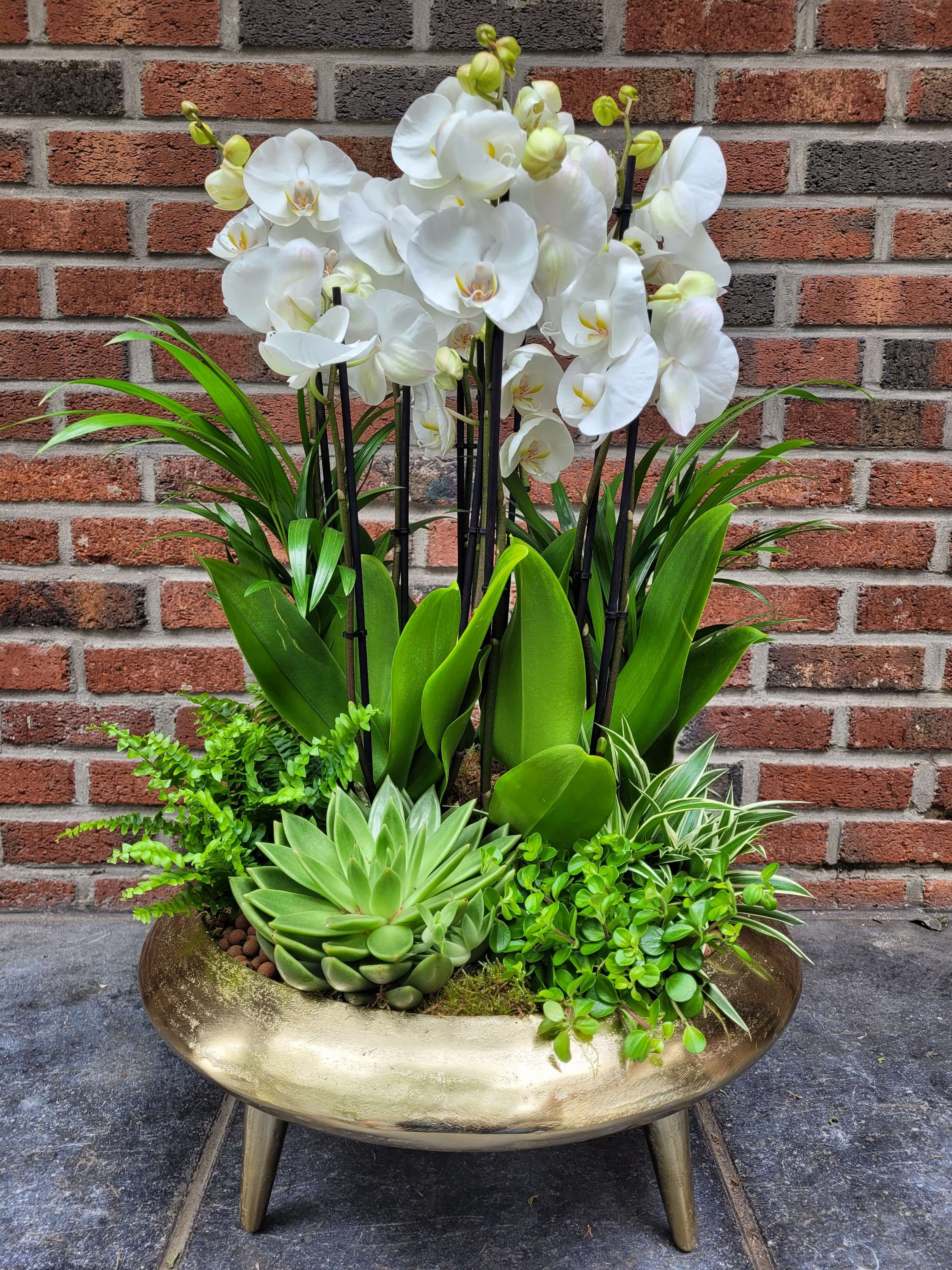 Vasque alu XXL or, orchidées et plantes vertes