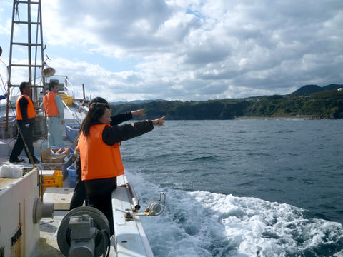 crews03.jpg
