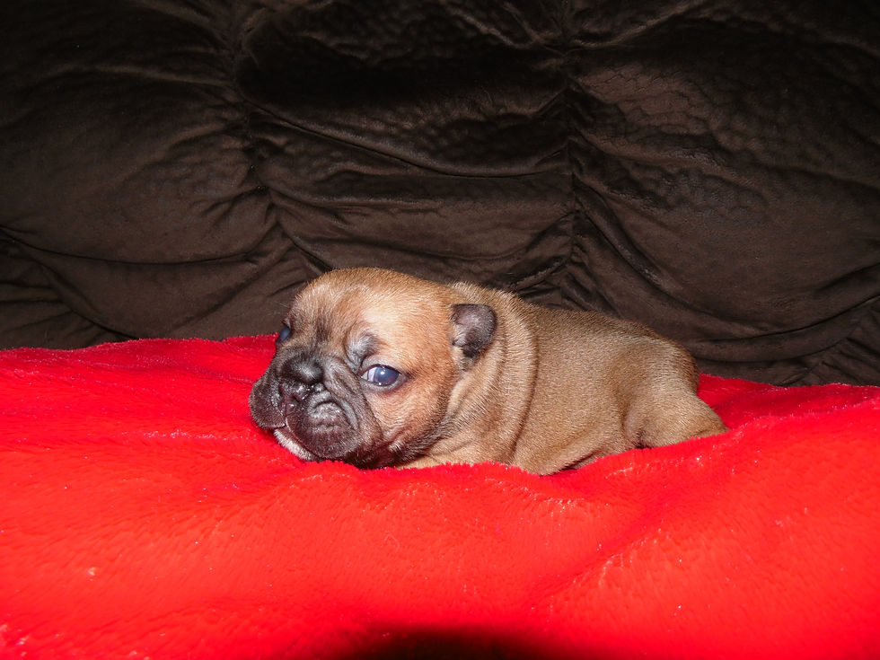 2 Weeks & 2 Days Old!!