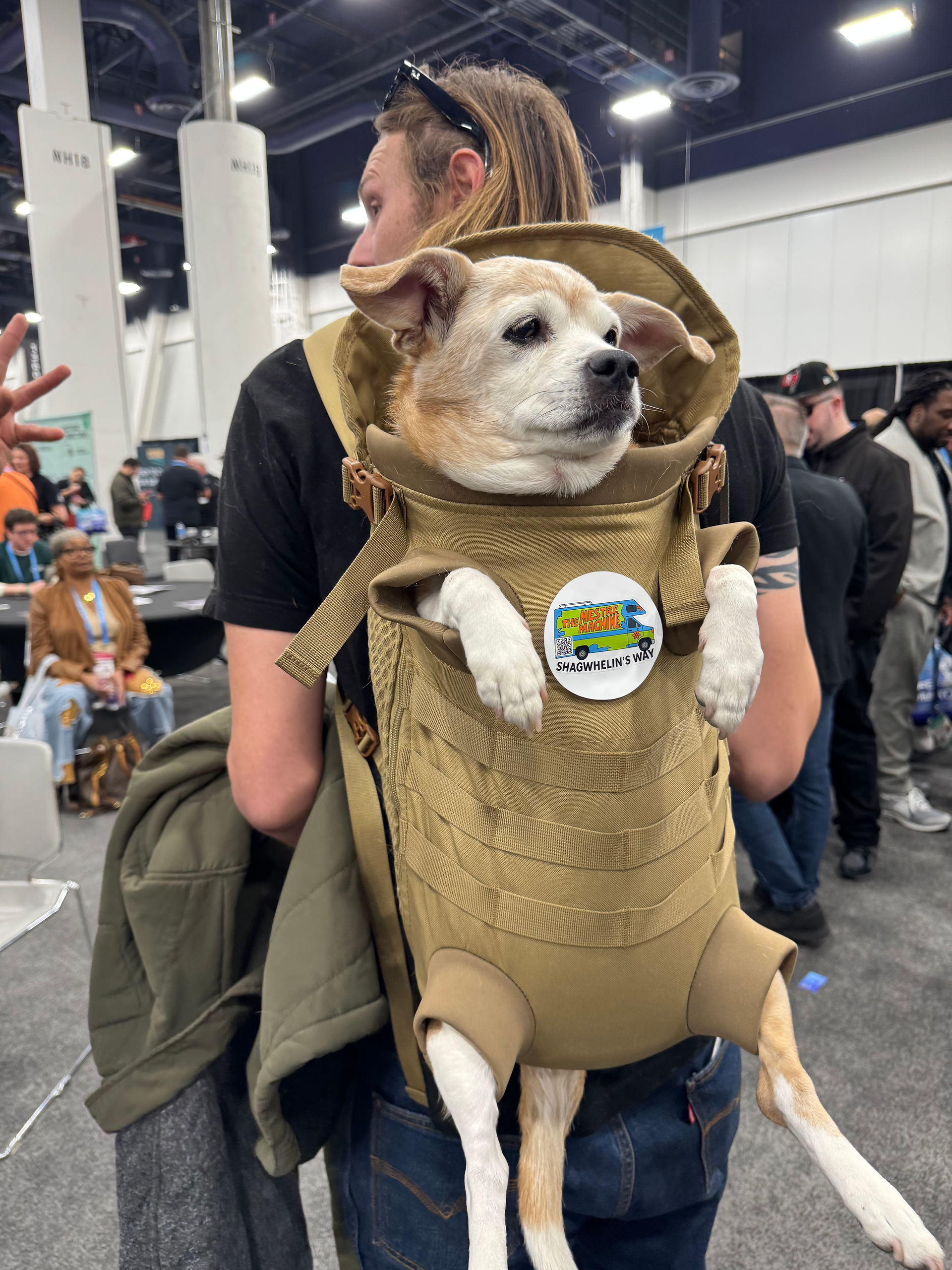a person wears a backpack with a cannabis business sticker and a small to medium sized white and tan dog looking out from it