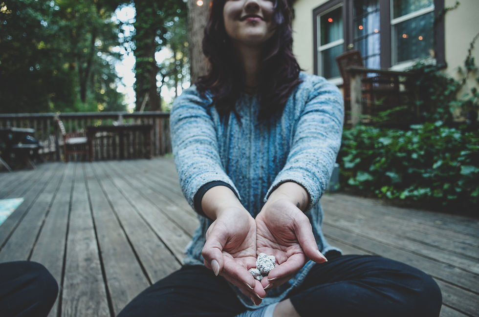 coastal-sun-greenhouse-cannabis-la-kush-