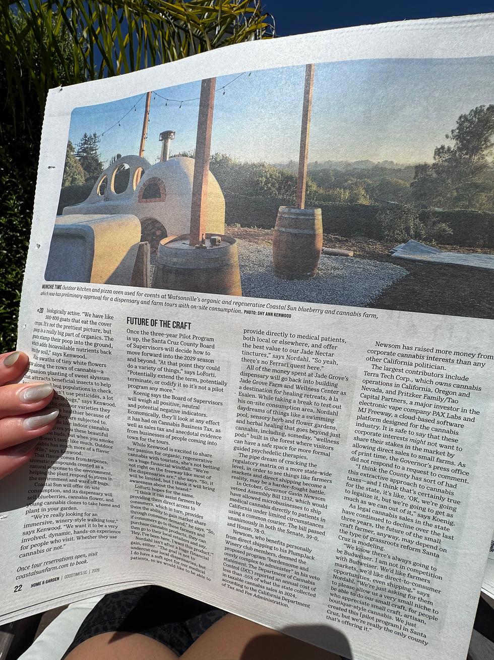 A person with manicured nails holds the Good Times newspaper open to the article with a featured image of Coastal Sun's earthen structure on the farm, and a heading that reads "Future of the Craft"
