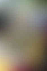 a table includes homemade snacks of fresh vegetables, fruits, cheeses, and olives