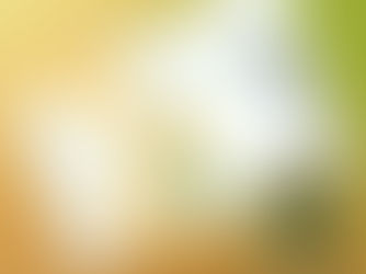 Coastal Sun sungrown 28g Garlic Grove mylar and nug floating over brown, yellow, and green gradient