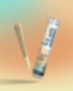 Coastal Sun Infused Cheetah Runtz pre-roll with its labeled container, floating over a teal, orange, and tan gradient background, styled in a relaxed vibe.