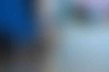 a dog wearing a shirt stands in front of a Buddies booth