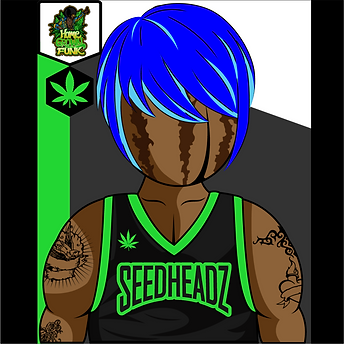 Seedheadz NFT (14).png