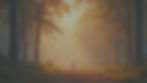 hero-background-9Da_lBm2_edited_edited.jpg