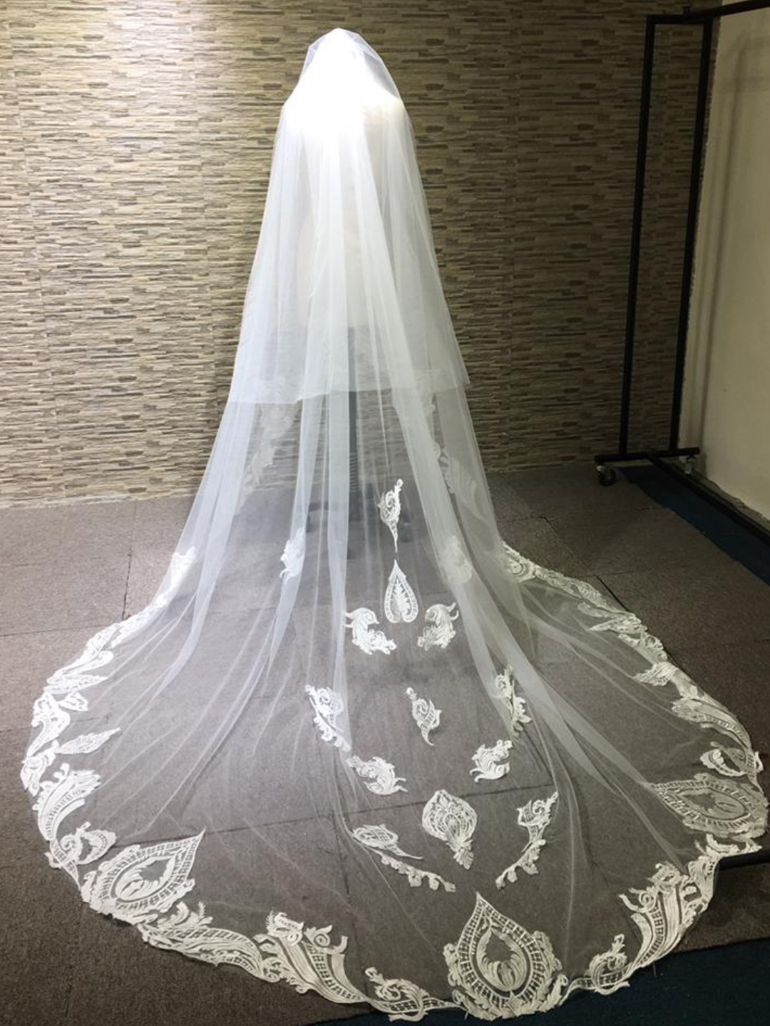 The Stunning Bride Matching Cathedral Veil