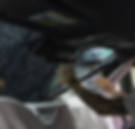IMG_3821_edited.png