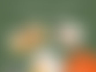 【イベント】 2月18日 焚き火イベント