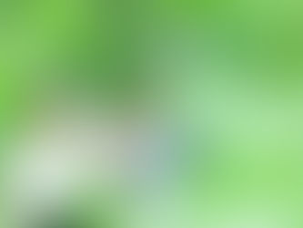 イベント:子育て応援フェスタinアミュひろば