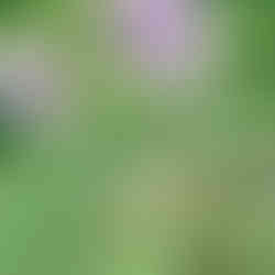 Photoshoot Ideas for Couples | Photography Inspiration 2026-2027