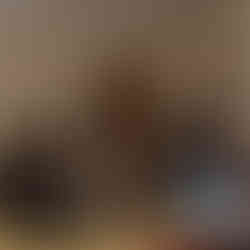 ველო შეჯიბრი ბრიფინგი