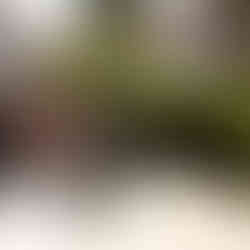 ველო სპორცმენი