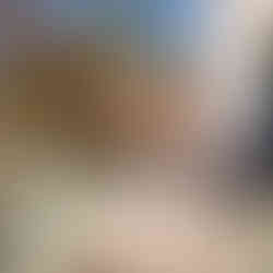 ველო სპორტი