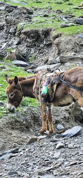 Tusheti National park 2025