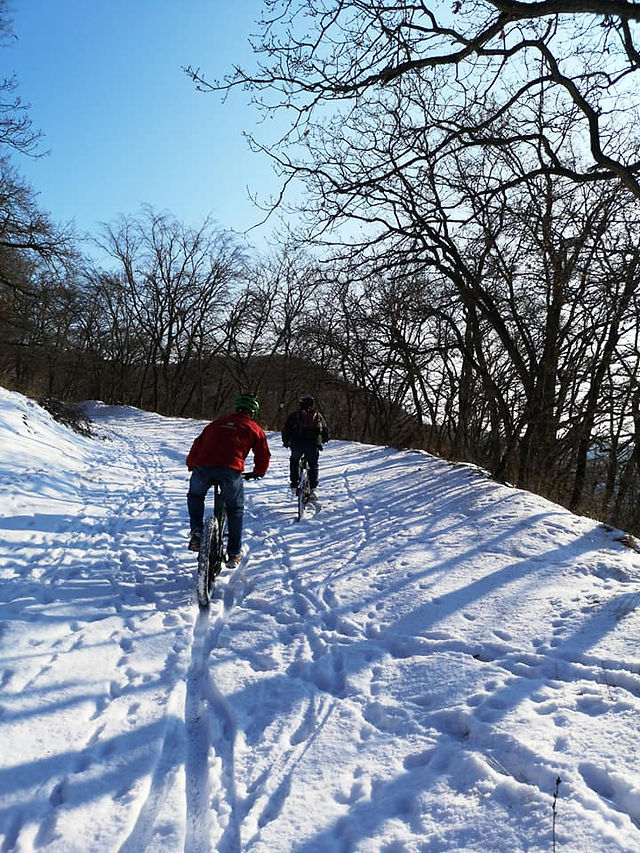 Mountain bike tour Georgia (5)