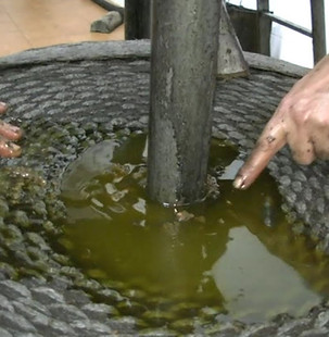 no lliure.jpg