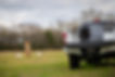 kennel truck.jpg