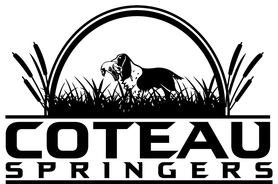 Coteau Springers logo