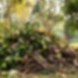 AdobeStock_1837756946_edited.jpg