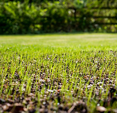 Lindquist Lawn, LLC - property maintenance, lawn care and maintenance, snowplowing