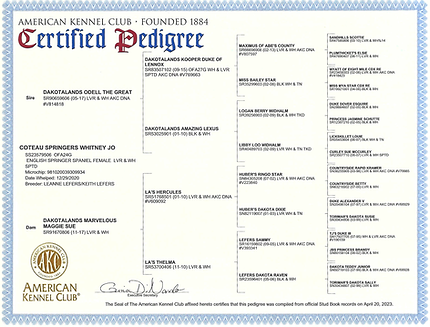 whitney-pedigree.png