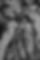 B85919C0-549B-432A-9F37-CD5B3B4BB338_1_201_a.jpeg