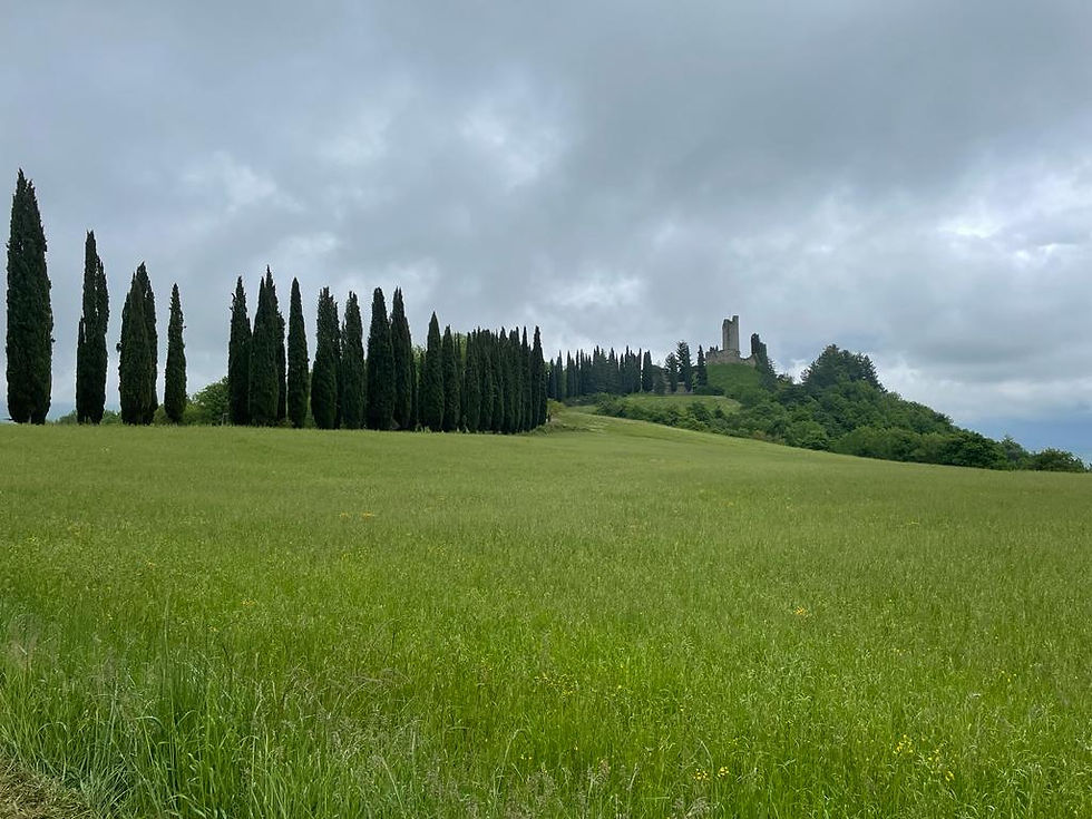 Walk and Lunch at Boutique Hotel Via Roma, 33 Stia in Casentino.