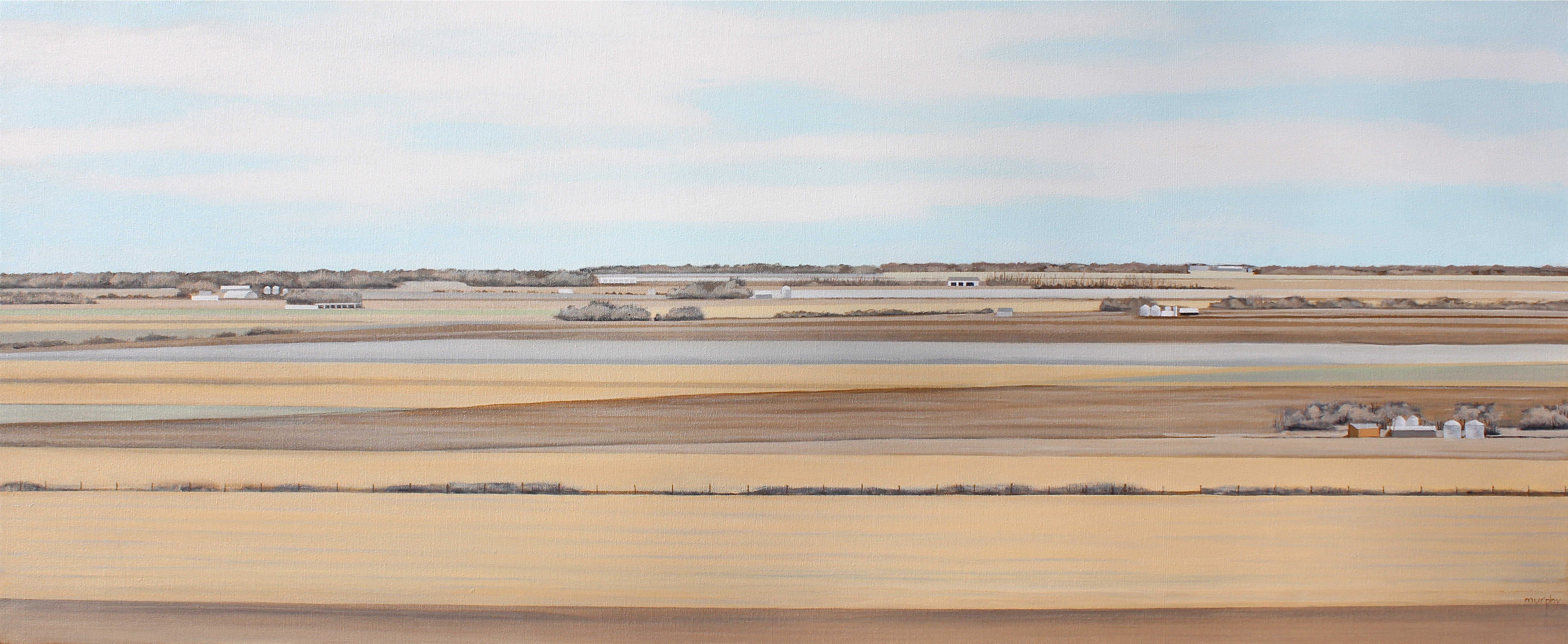 "Lines of Sight"