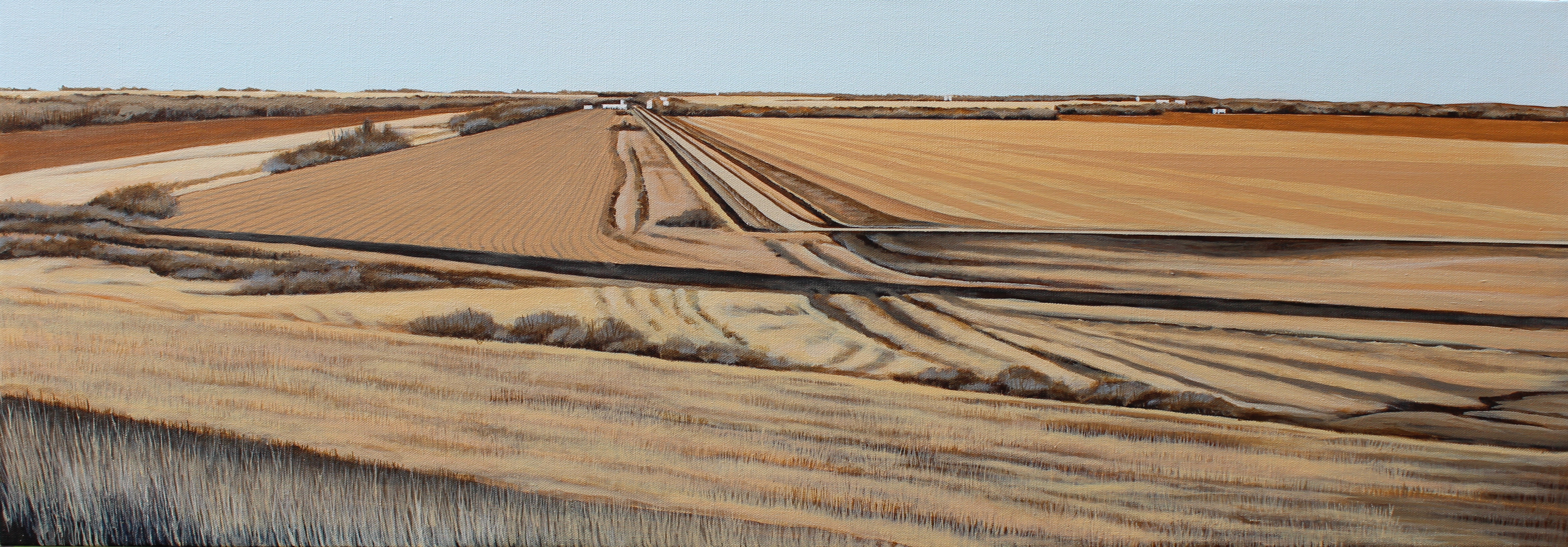 "Looking East, Near Branched Oak"