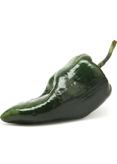 poblano.jpg