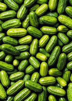 pickles.jpg
