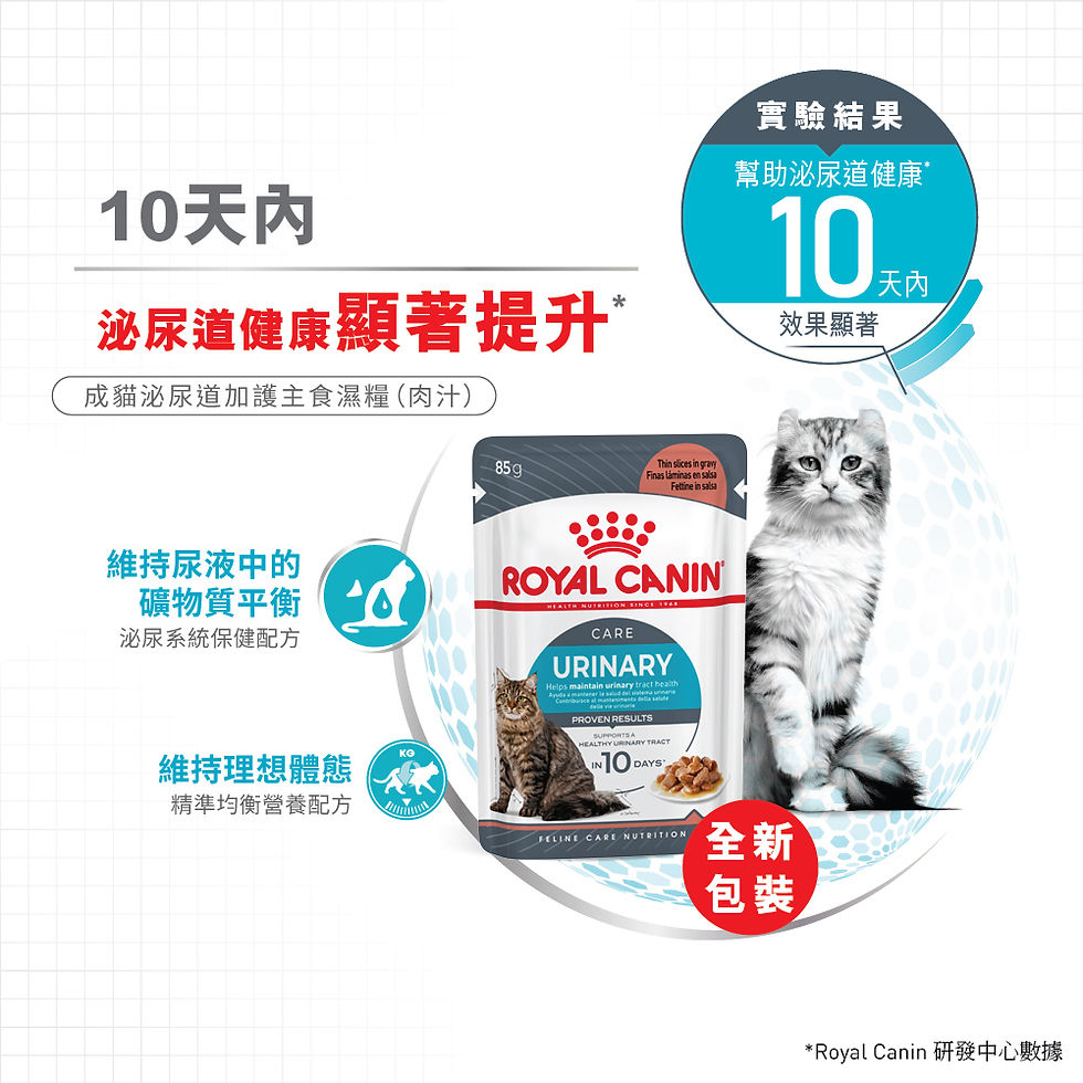 縮圖：皇家Royal Canin 成貓泌尿道加護主食濕糧（肉汁）85g Urinary Care Adult Cat (Gravy)