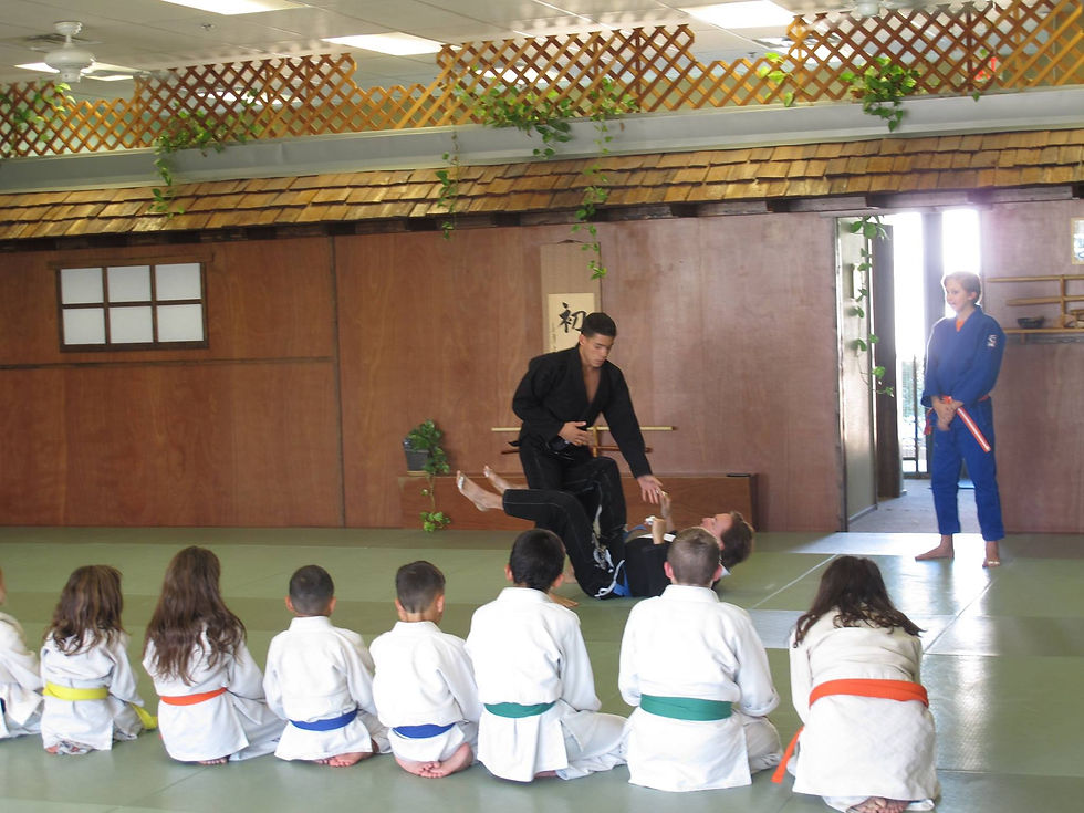 Jujitsu