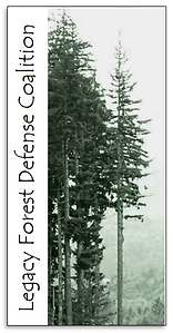 Letterhead-logo (3).png