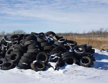 landfill-2708.jpg