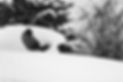 _MG_6301.jpg