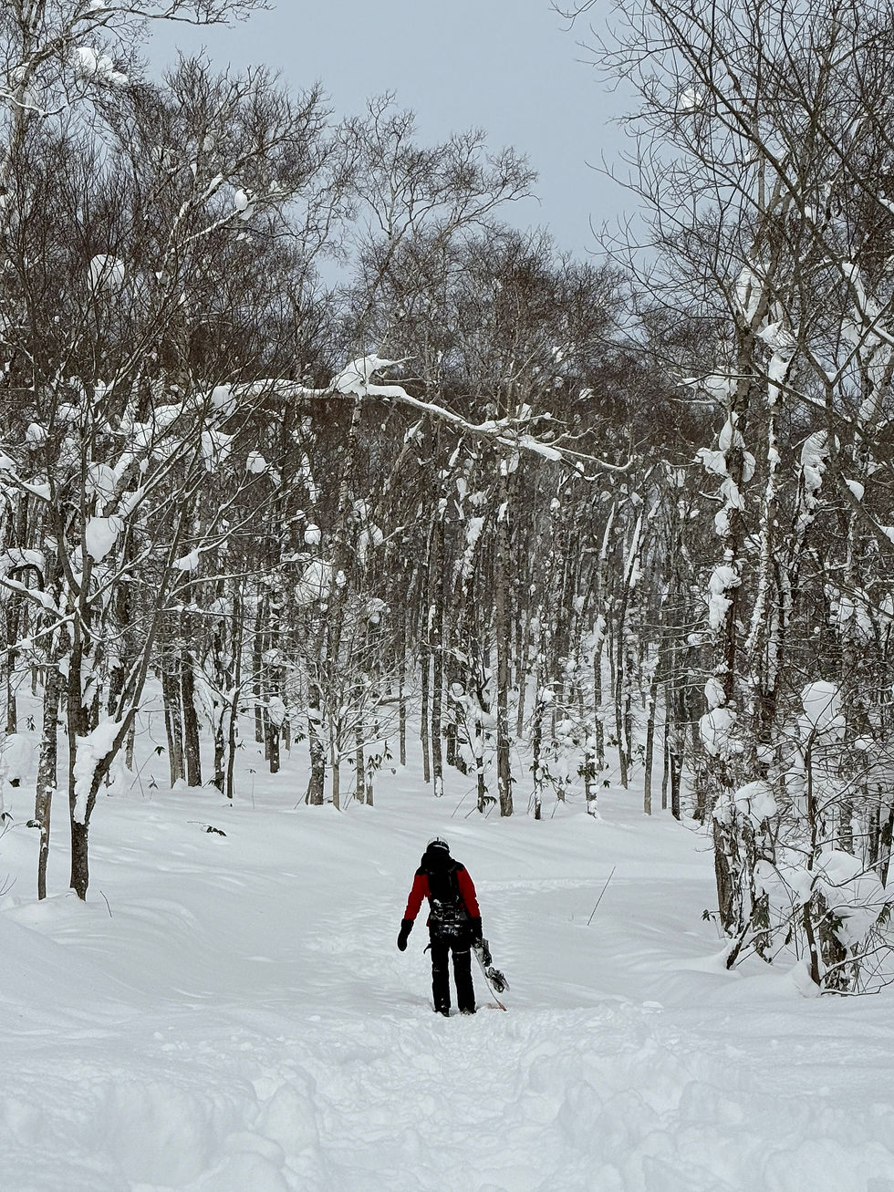 A man walking alone on a snow-covered path.
