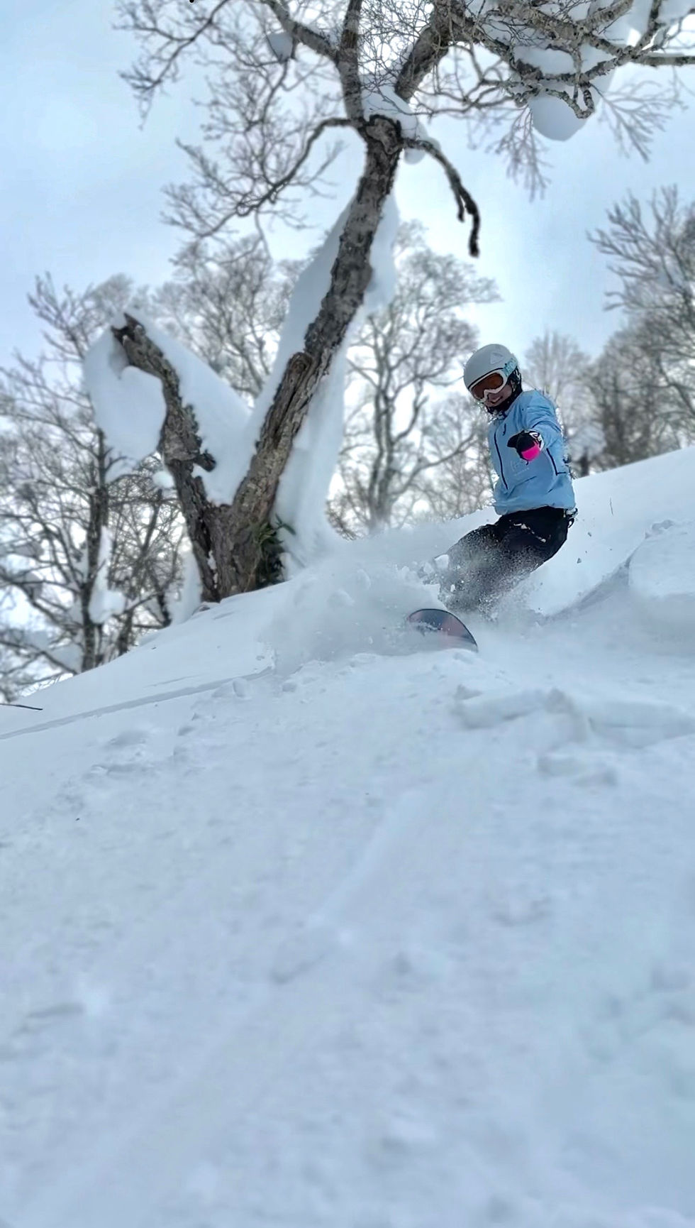 Woman snowboarding through fresh powder snow in Hokkaido, carving smoothly through deep, untouched terrain.