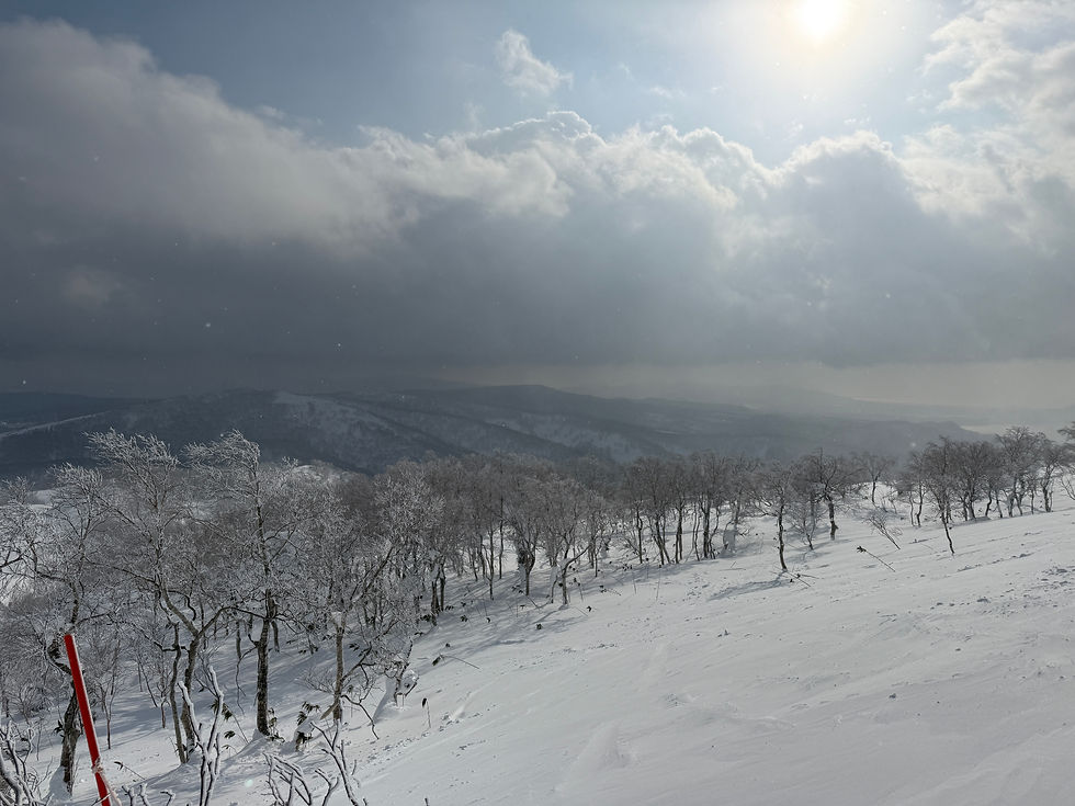 Snow-covered mountain landscape viewed from the summit, showcasing breathtaking winter scenery in Hokkaido