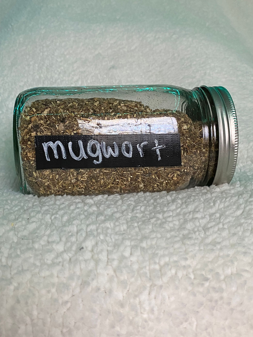 Thumbnail: Mugwort