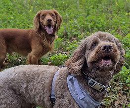 WhatsApp Image 2025-11-30 at 10.34.24.jpeg