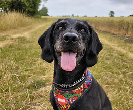 WhatsApp Image 2025-11-30 at 10.42.20.jpeg