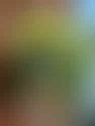 Handcrafted yellow and ivory artificial flower hanging basket featuring realistic blooms and premium faux foliage