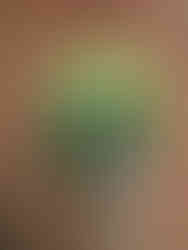 Handcrafted yellow and ivory artificial flower hanging basket featuring realistic blooms and premium faux foliage