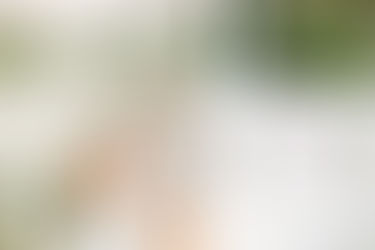 Kimpton Lighthouse + Southernmost Beach Resort Wedding