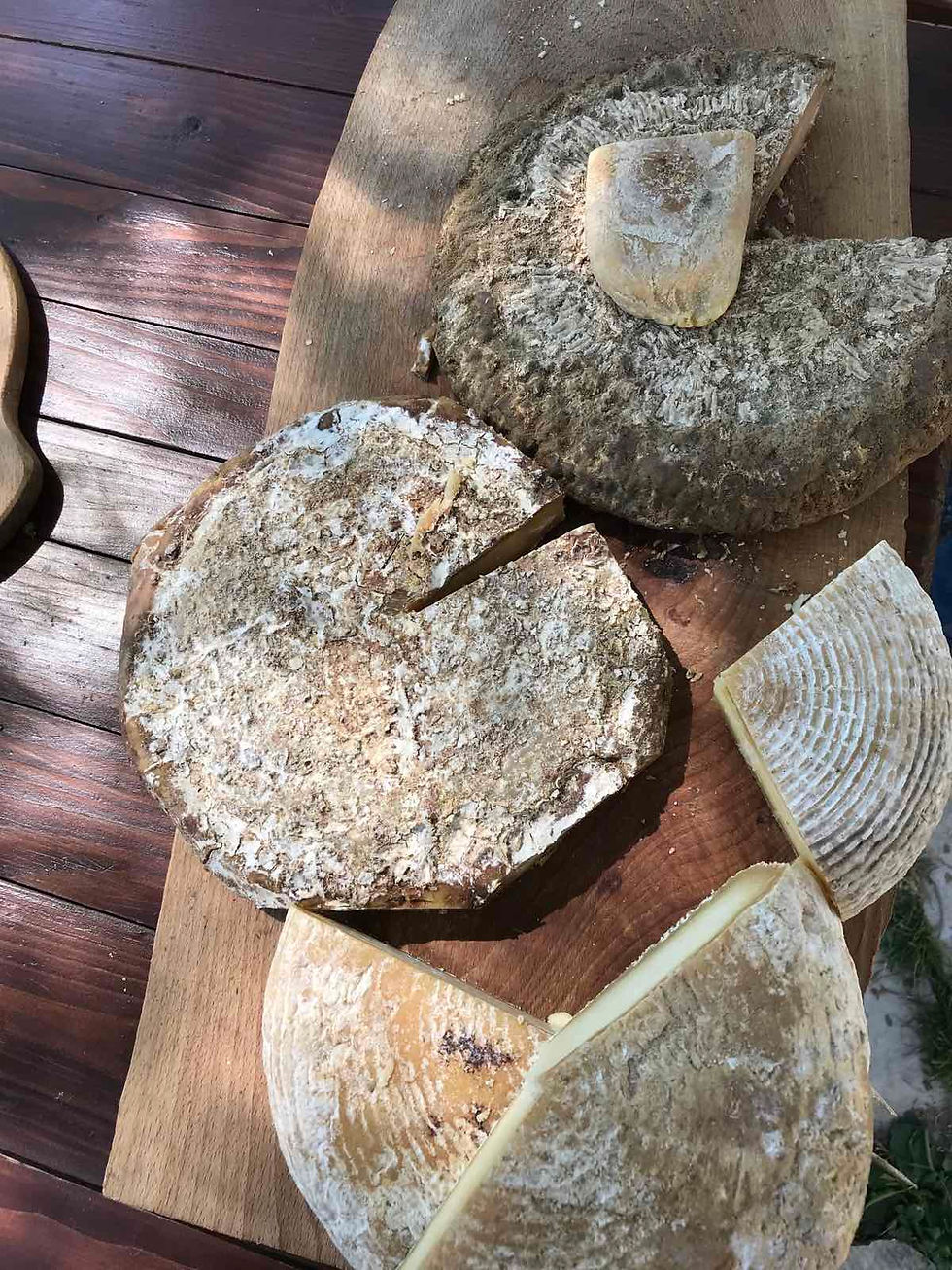 Fromage vert Tcherni Vit Bulgarie
